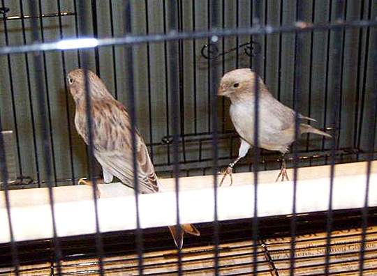 /img/04_R-540x396.jpg