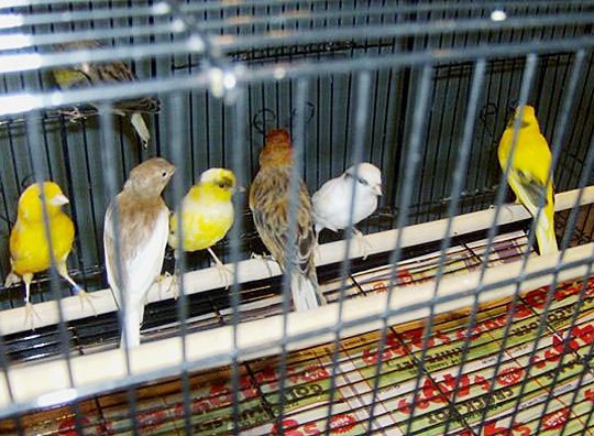 /img/05_R-540x396.jpg