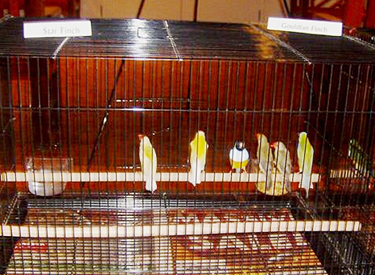 /img/15_R-540x396.jpg
