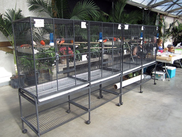 2015 - SHELMERDINE'S