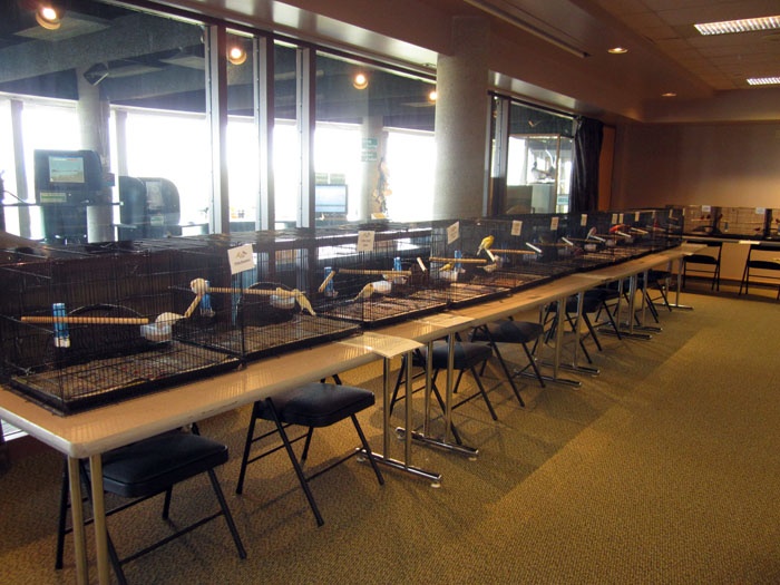 2013 - OAK HAMMOCK MARSH