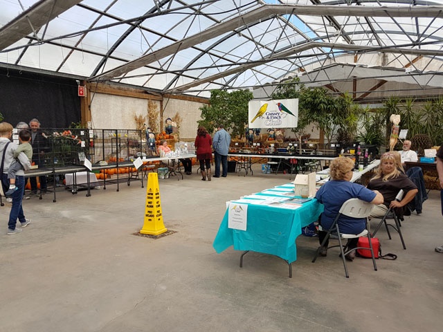 Display 2017-Shelmerdine's