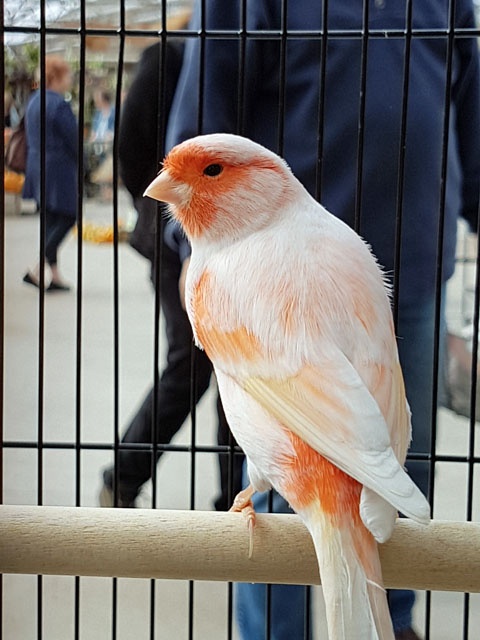 /img/display2017_017-480x640.jpg