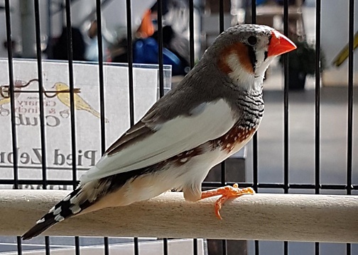 /img/12_R-504x360.jpg
