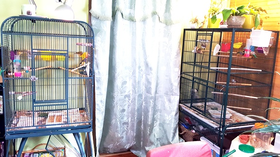 /img/B1_R-576x324.jpg
