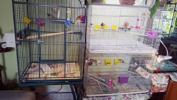 /img/B2_R-576x324.jpg
