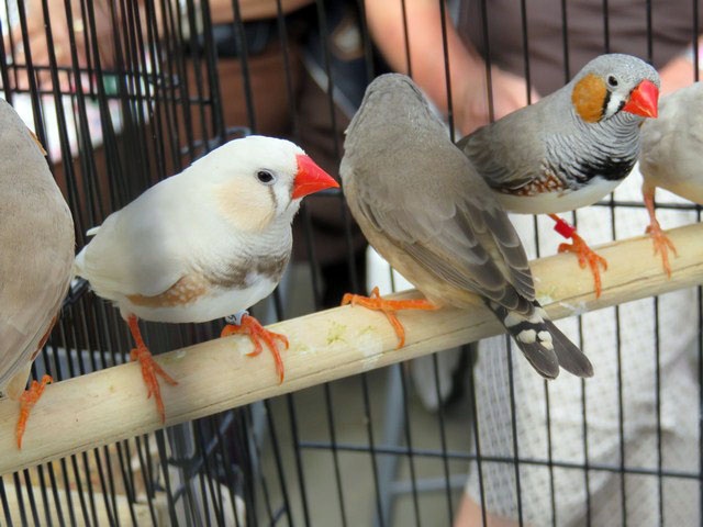 /img/Display_20161-640x480.jpg