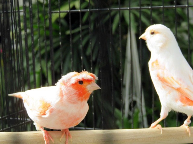 /img/Display_201611-640x480.jpg