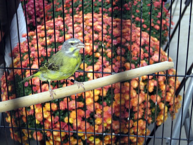 /img/Display_201612-640x480.jpg