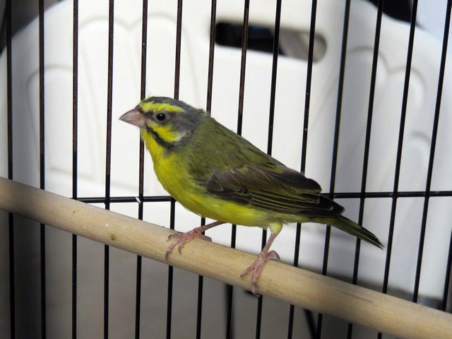 /img/Display_201613-640x480.jpg