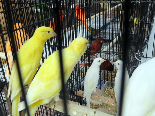 /img/Display_201614-640x480.jpg
