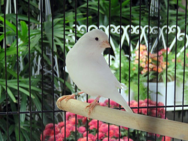 /img/Display_201615-640x480.jpg