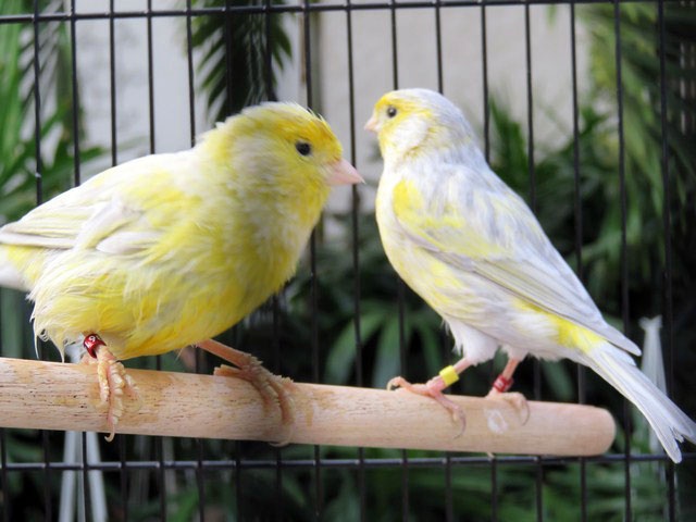 /img/Display_201617-640x480.jpg