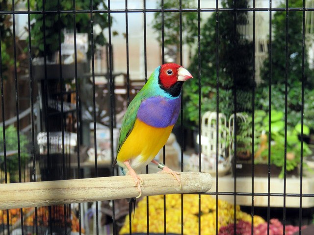 /img/Display_20166-640x480.jpg