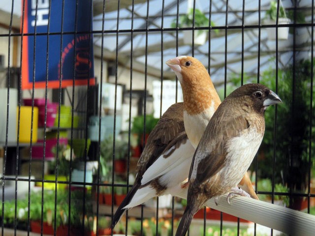 /img/Display_20168-640x480.jpg