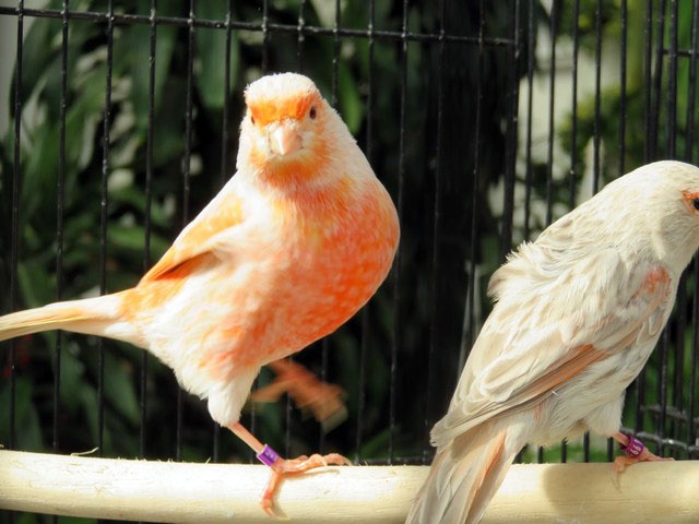 /img/Display_20169-640x480.jpg