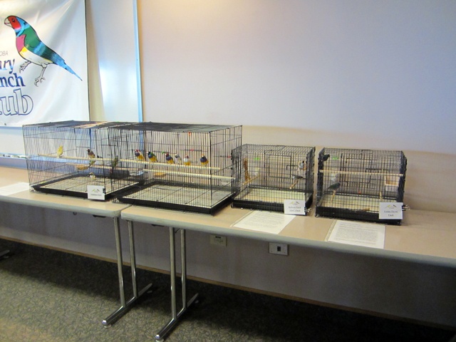 /img/Display_September_2012_03-640x480.jpg