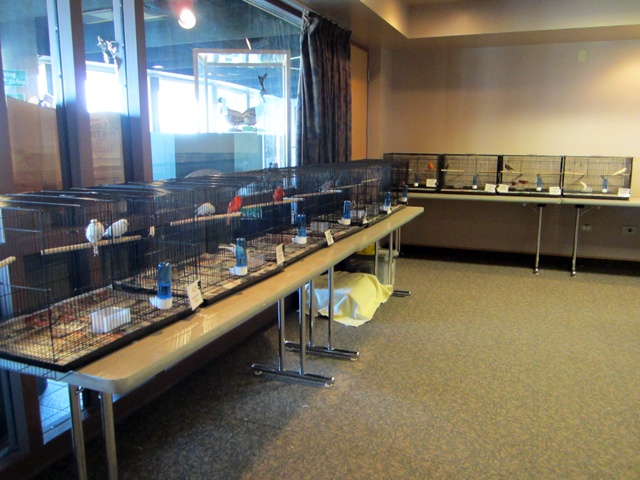 /img/Display_September_2012_04-640x480.jpg