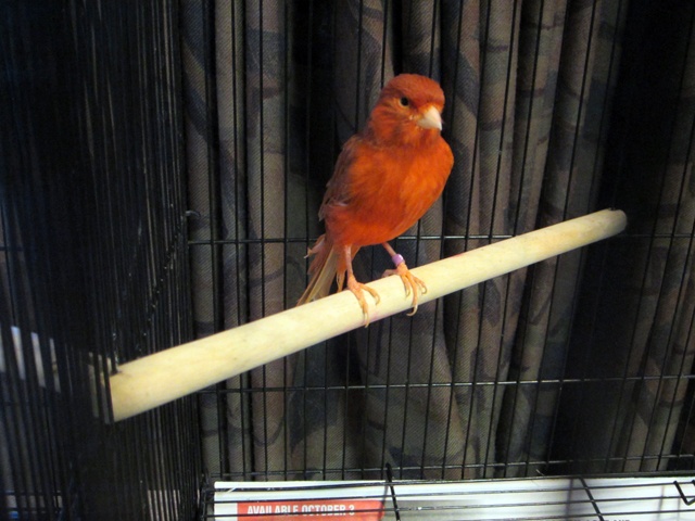 /img/Display_September_2012_10-640x480.jpg