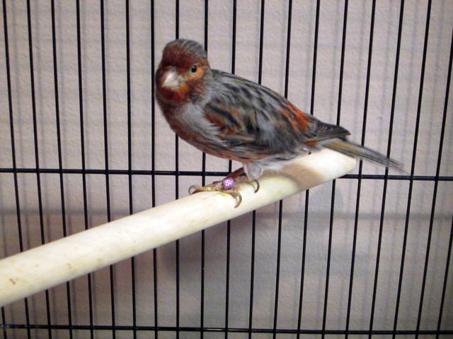 /img/Display_September_2012_12-640x480.jpg