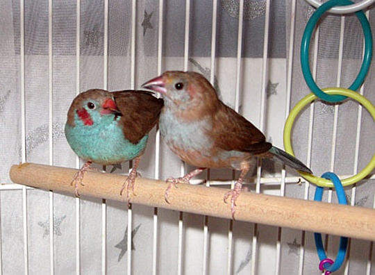/img/JC_4343_R-540x396.jpg