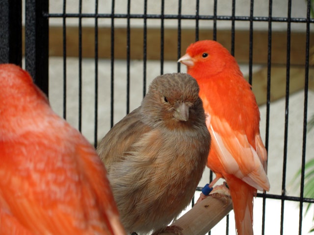 /img/SBD_2015_05-640x480.jpg