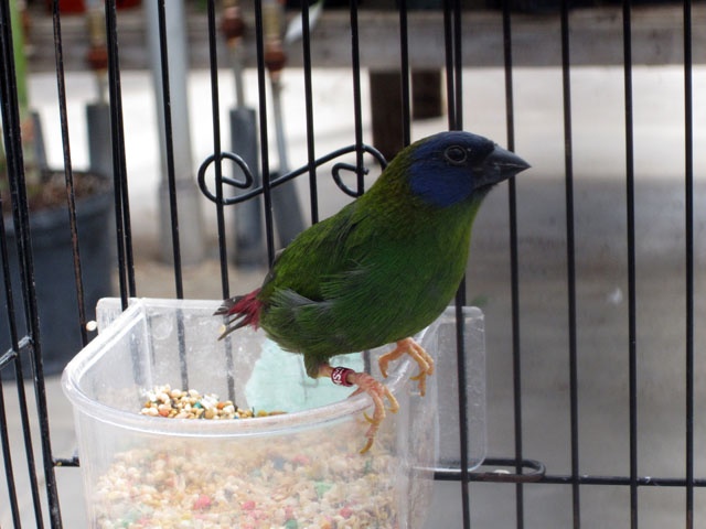 /img/SBD_2015_06-640x480.jpg
