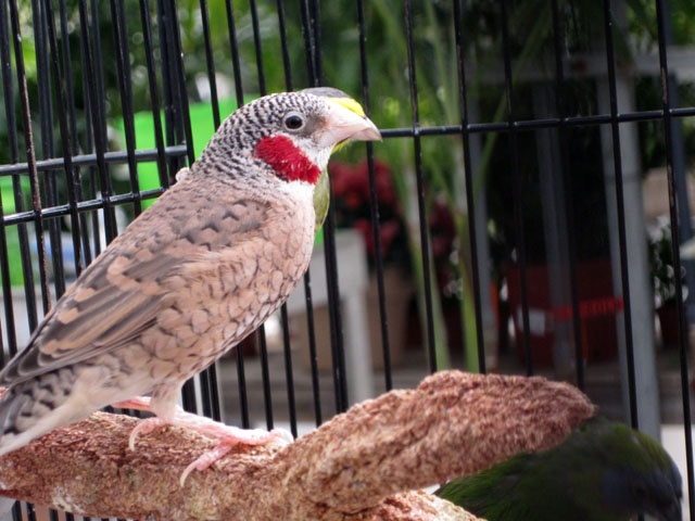 /img/SBD_2015_07-640x480.jpg