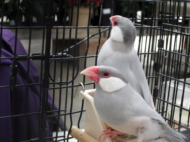 /img/SBD_2015_08-640x480.jpg