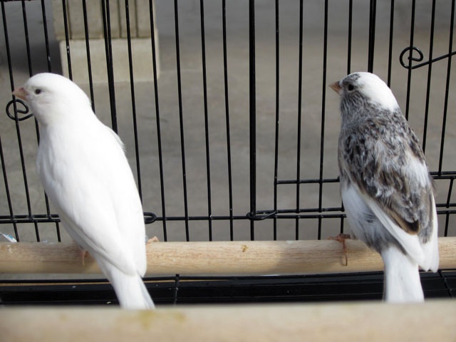 /img/SBD_2015_09-640x480.jpg