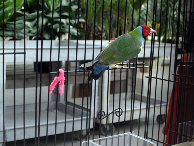 /img/SBD_2015_11-640x480.jpg