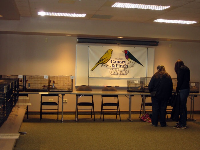 /img/bird_display_october2013_01-700x525.jpg