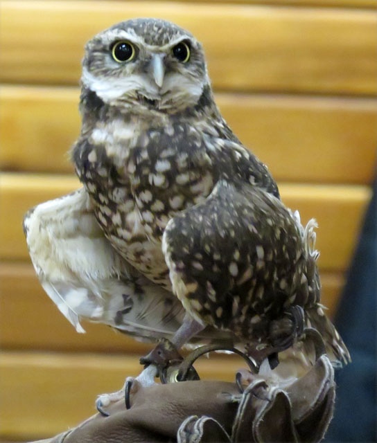 KoKo and Alex KoKo and Alex