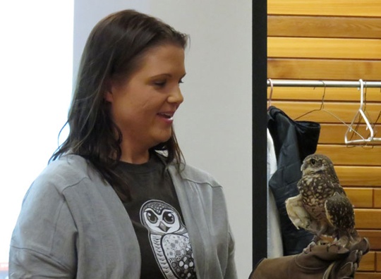 Koko and Alex Koko and Alex