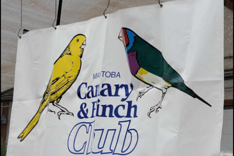 2018 ST MARY'S
