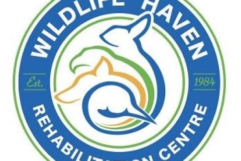 WILDLIFE HAVEN