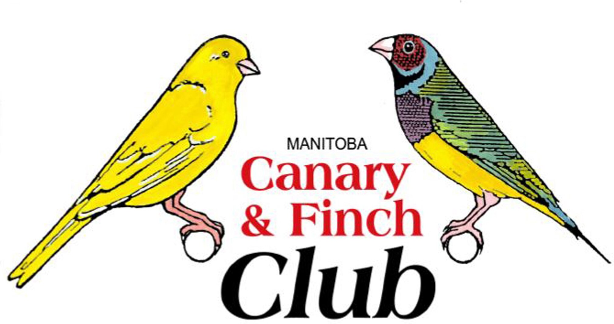 Canary and finch club header image Canary and finch club header image